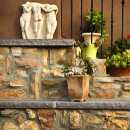 Design For Living # Graces